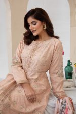 Cambric Embroided 3Piece Down Cut