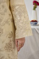 Cambric Embroided dress skin