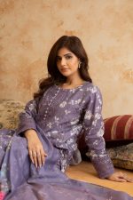 Winter Cotraya 3-Piece Embroidered Dress
