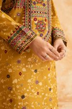 Winter Cotraya 3-Piece Embroidered Dress